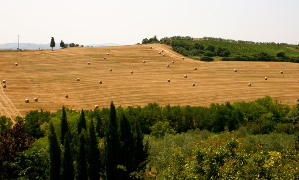 Апартаменты Podere Gattabigia Ластра-а-Синья Экстерьер фото